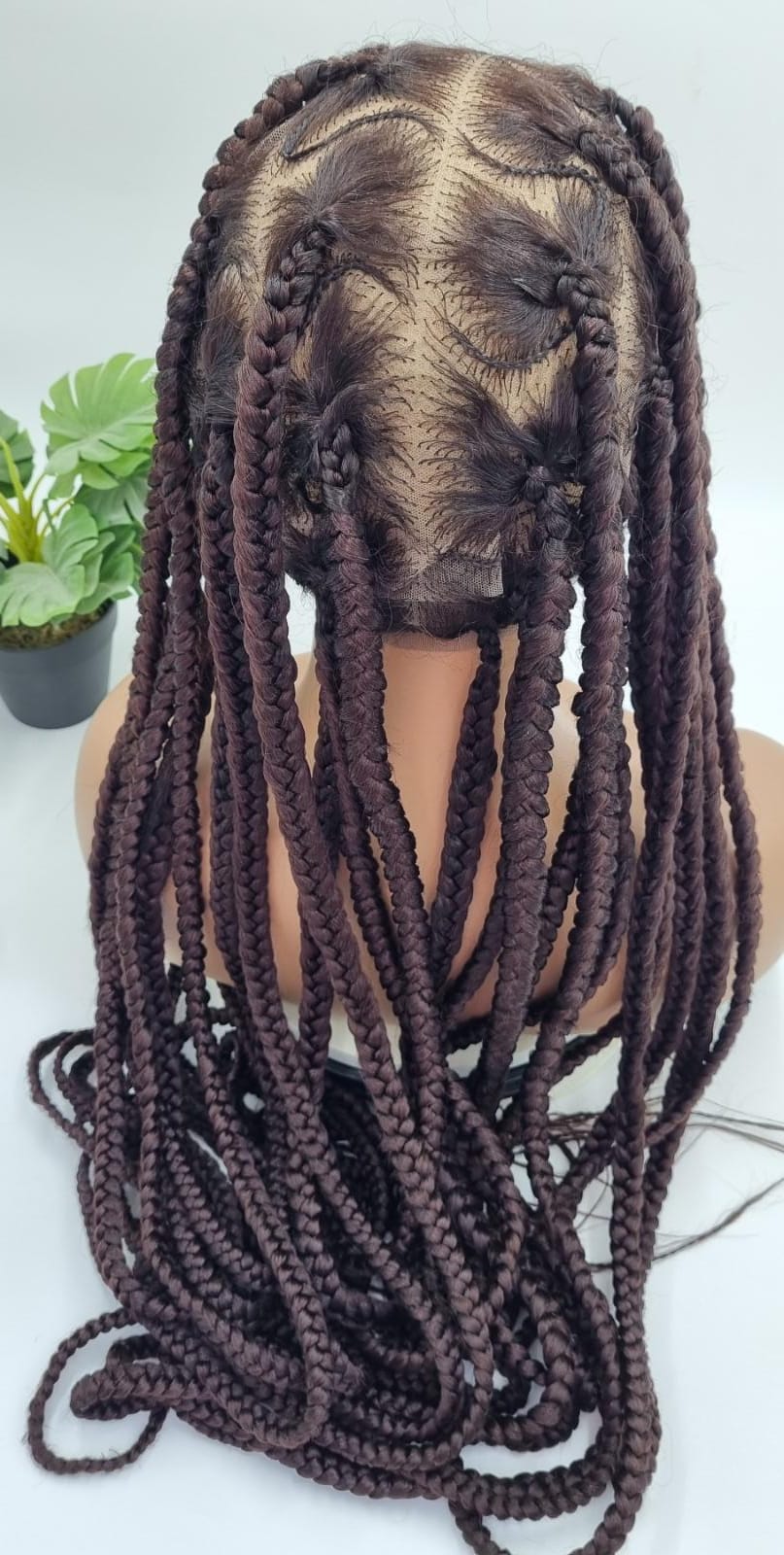 Gina braids wig